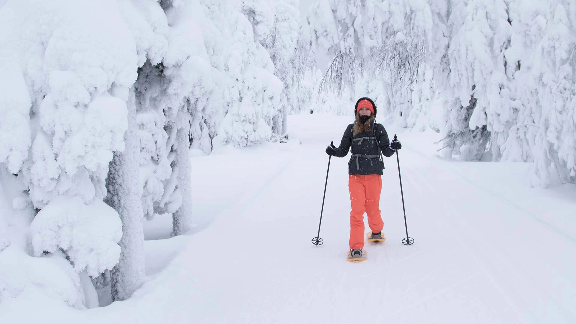 Sneeuwschoentocht in het Nationaal Park