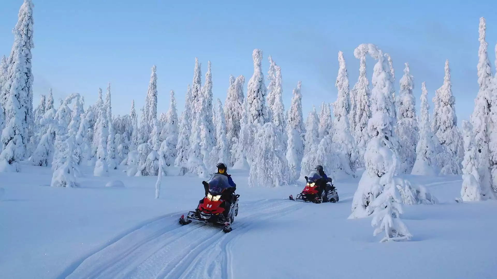 Sneeuwscooteren in Winterwonderland