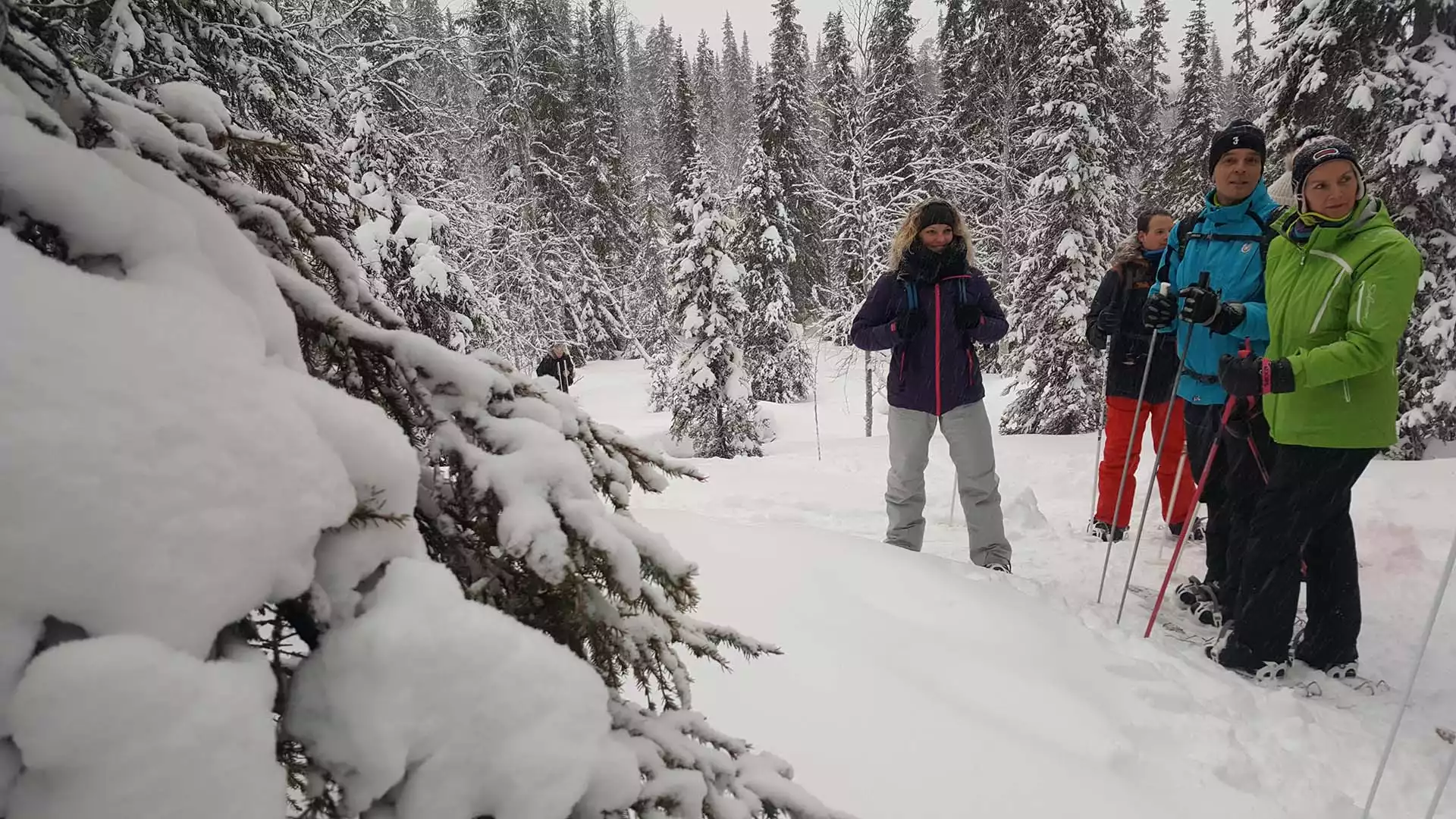 Sneeuwschoenen, icewall en ijsvissen