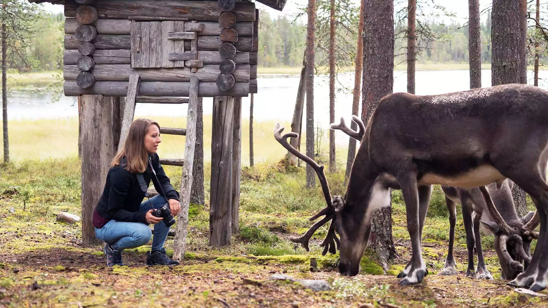 Via Isokuru naar Salla Wilderness Park