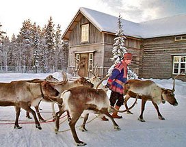 saariselka-sneeuwscootersafari-rendierboerderij