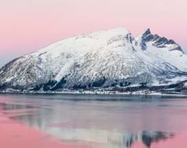 tromso-fjord-wildlife-cruise