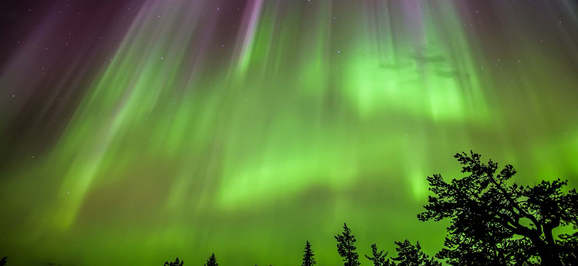 noorderlichtreis-arctische-sterrenhemel-header2