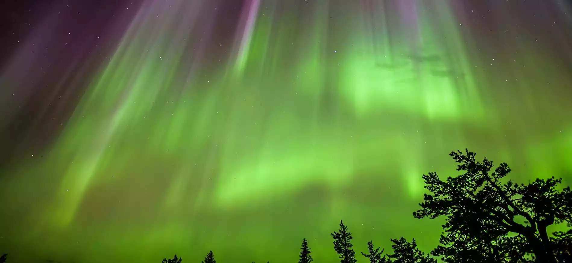 Noorderlichtreis Arctische Sterrenhemel