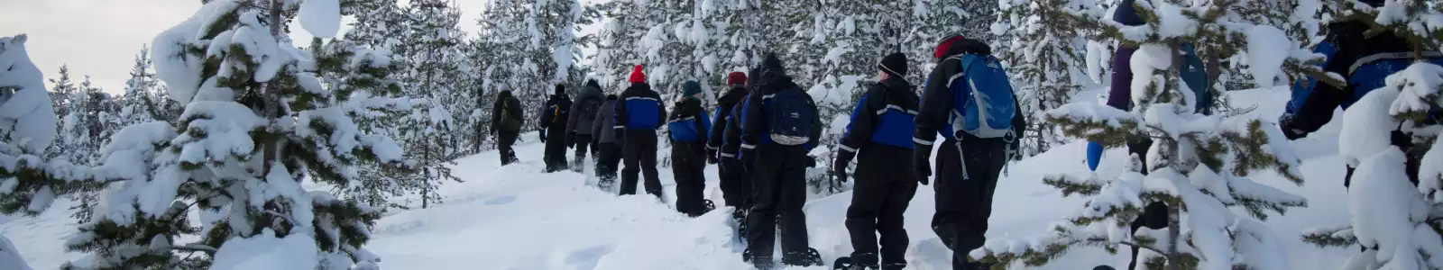 groepsreis-header-lapland