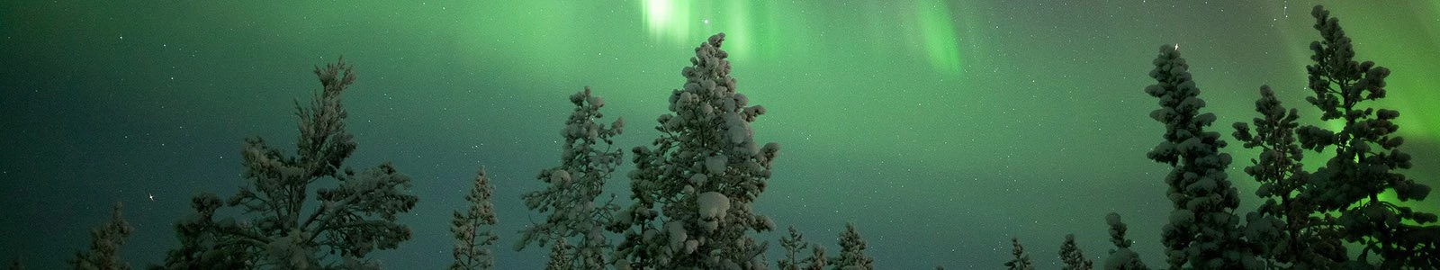 Vele extra's* bij je reis naar Lapland!
